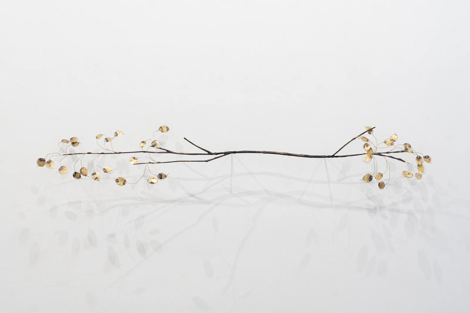 Francesca Polizzi, Lunaria 1, 2026. Brass and Bronze · 35 × 185 × 30 cm