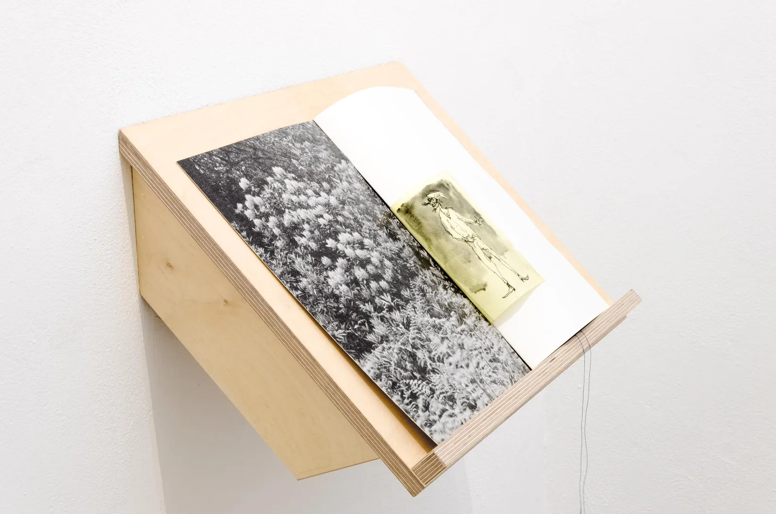 Come Creatura. installation view 4 of 11