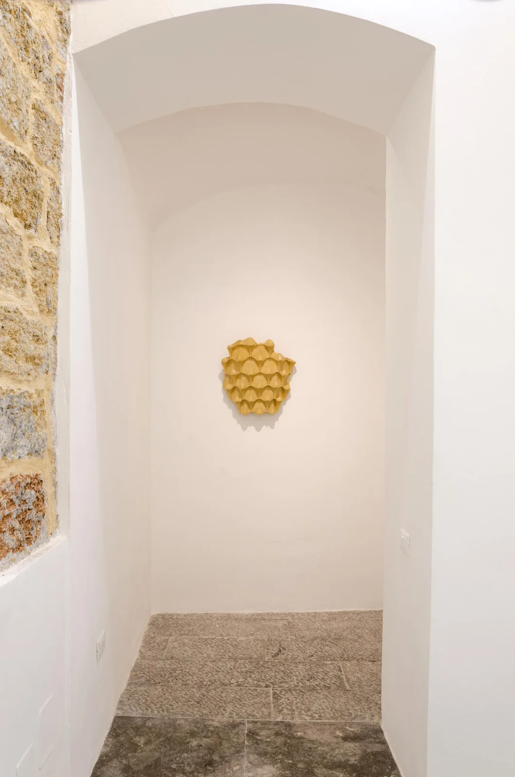 In Antis. installation view 4 of 4