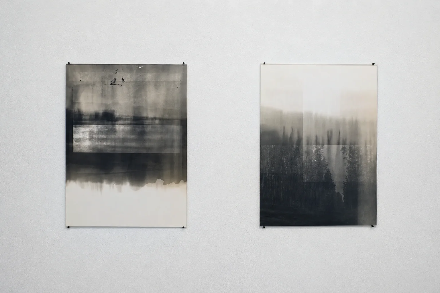 FIESTA. installation view 4 of 21