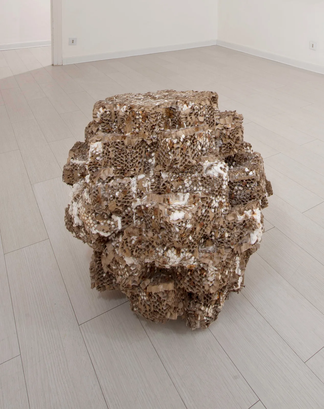 RISE. Knolle, 2007, Gesso, nido d'ape, 80 x 60 x 60 cm