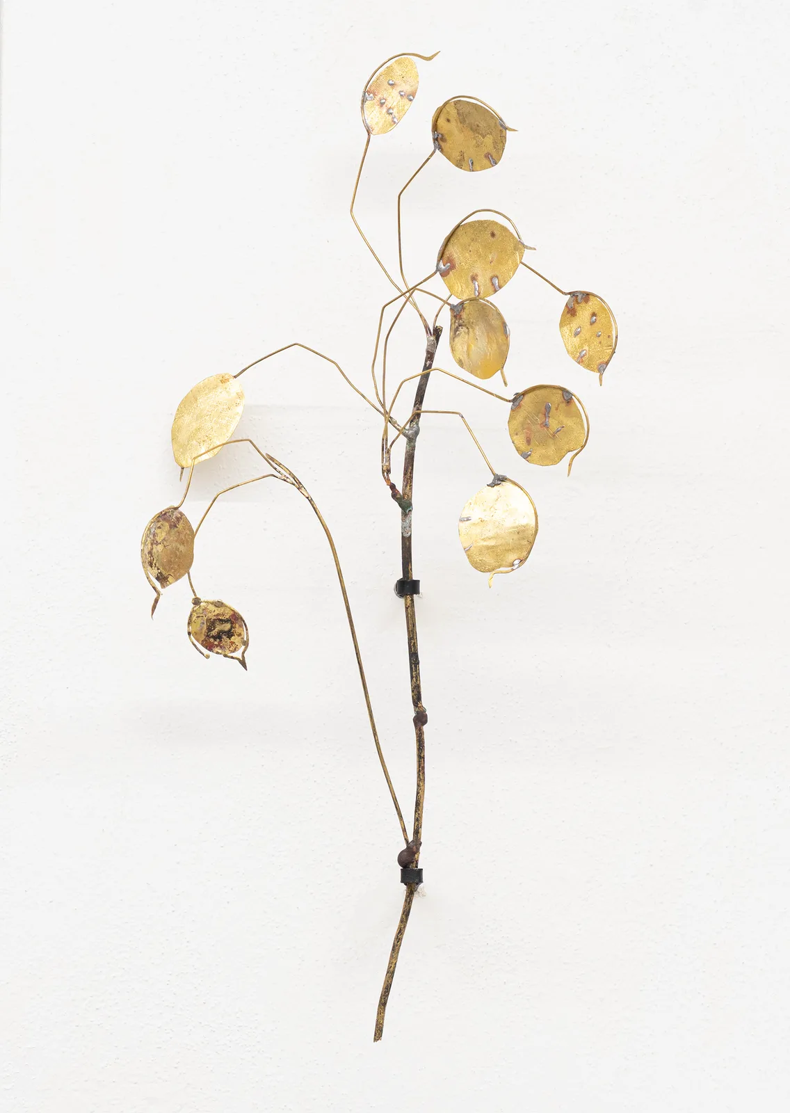 Francesca Polizzi, Lunaria 3, 2026. Brass and Bronze · 35 × 20 × 10 cm