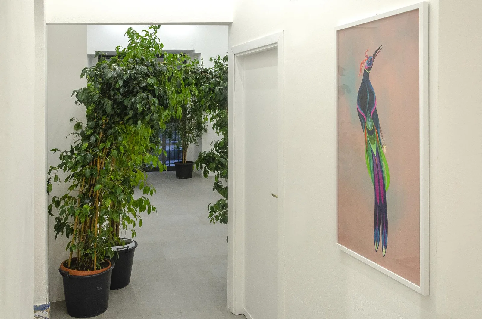 Homo Sapiens Sapiens Sapiens. installation view 12 of 21