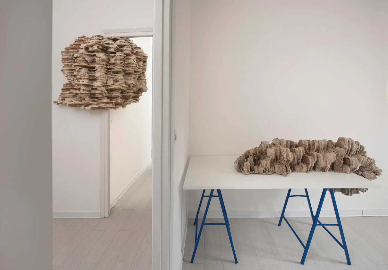 RISE. installation view 2 of 11