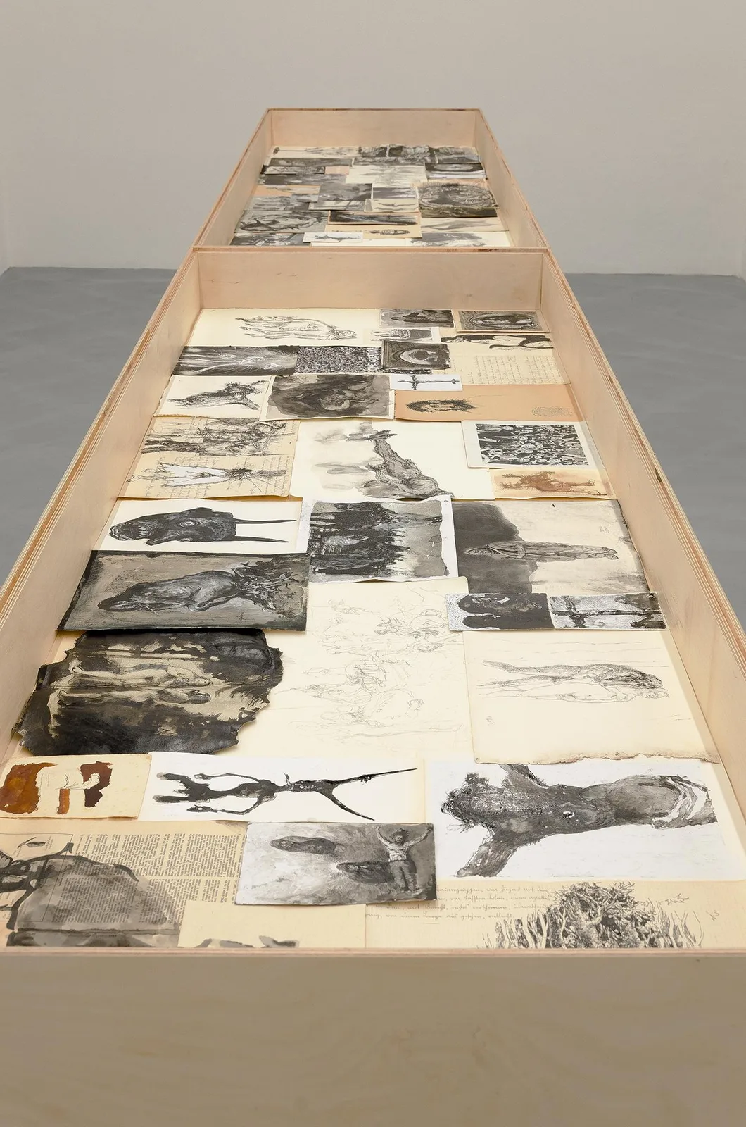 Come Creatura. installation view 9 of 11