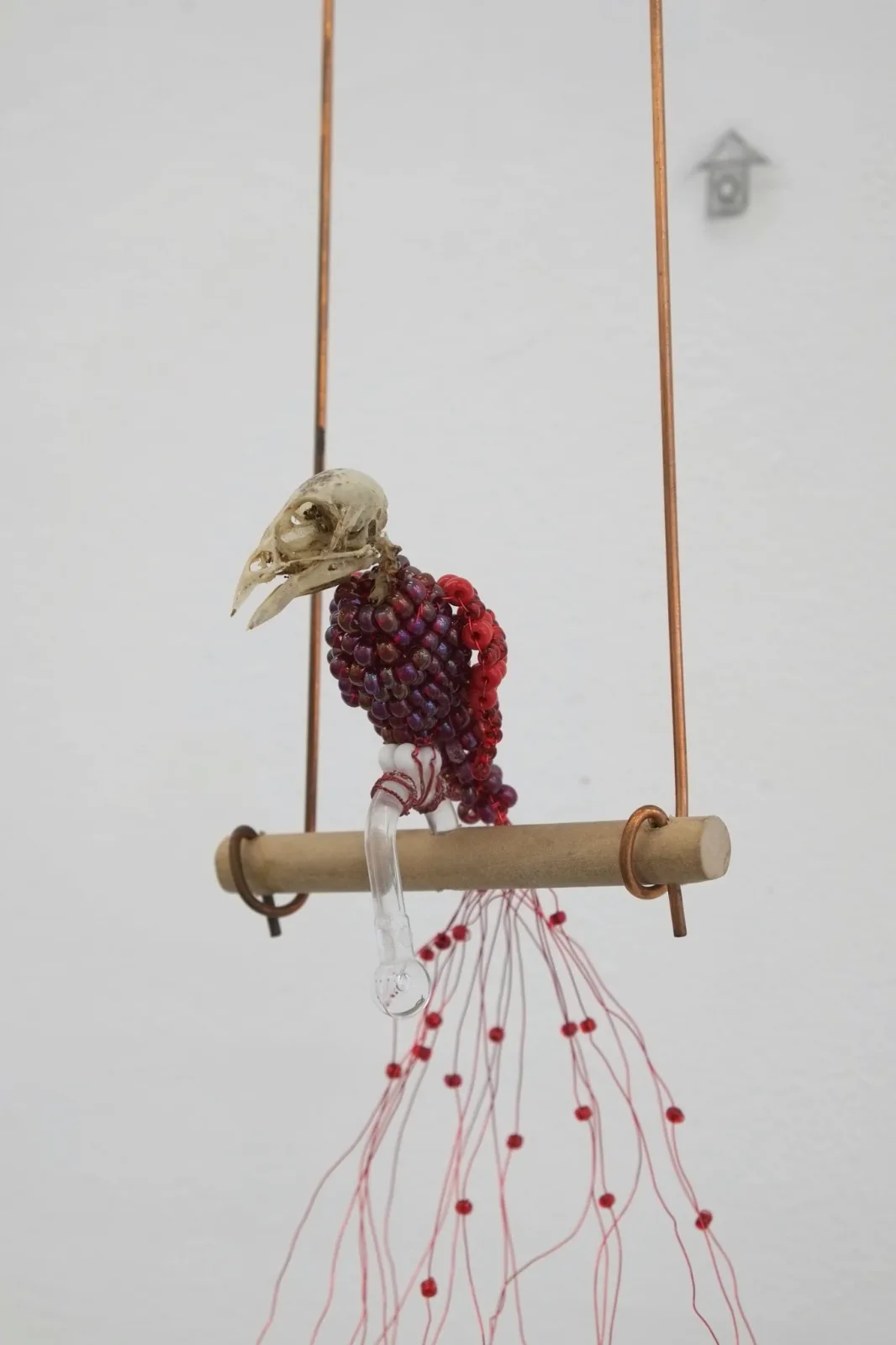 FIESTA. installation view 17 of 21