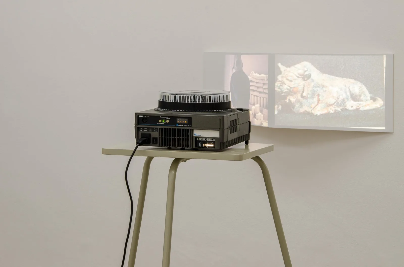 An Inventory Of. installation view 3 of 17