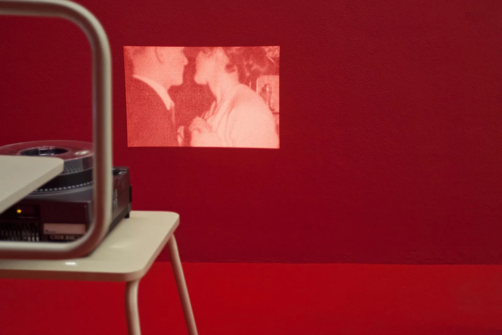 An Inventory Of. installation view 15 of 17