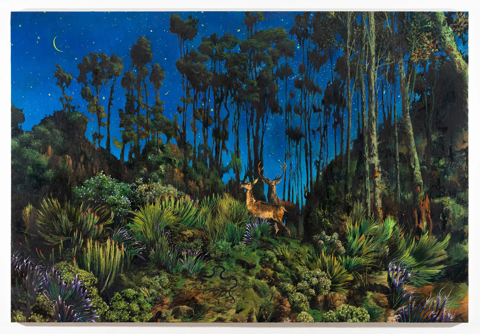 Francesco De Grandi, Il sogno di Placido, 2023. Oil on canvas · 170 × 250 cm