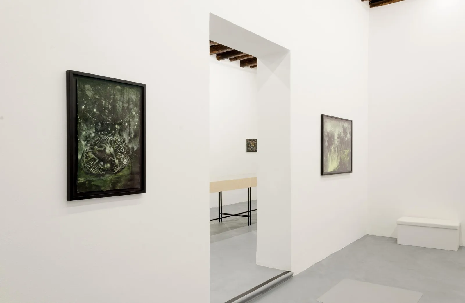 Come Creatura. installation view 5 of 11
