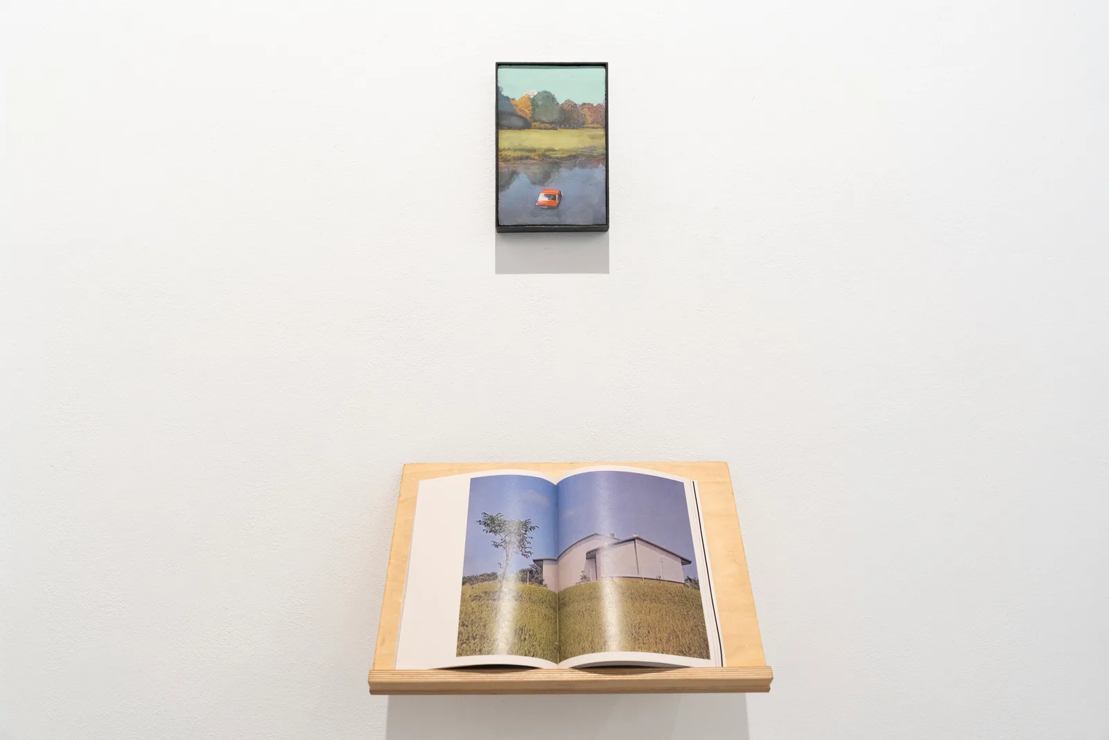 GARDEN. installation view 3 of 9
