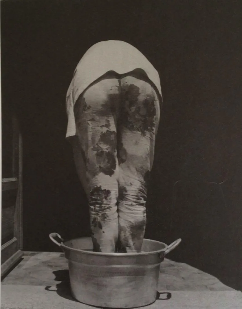 quantum leap. Turi Rapisarda, Piante, 1990 - 1993, Fotografia b/n - stampa su carta ai sali d'argento da negativo