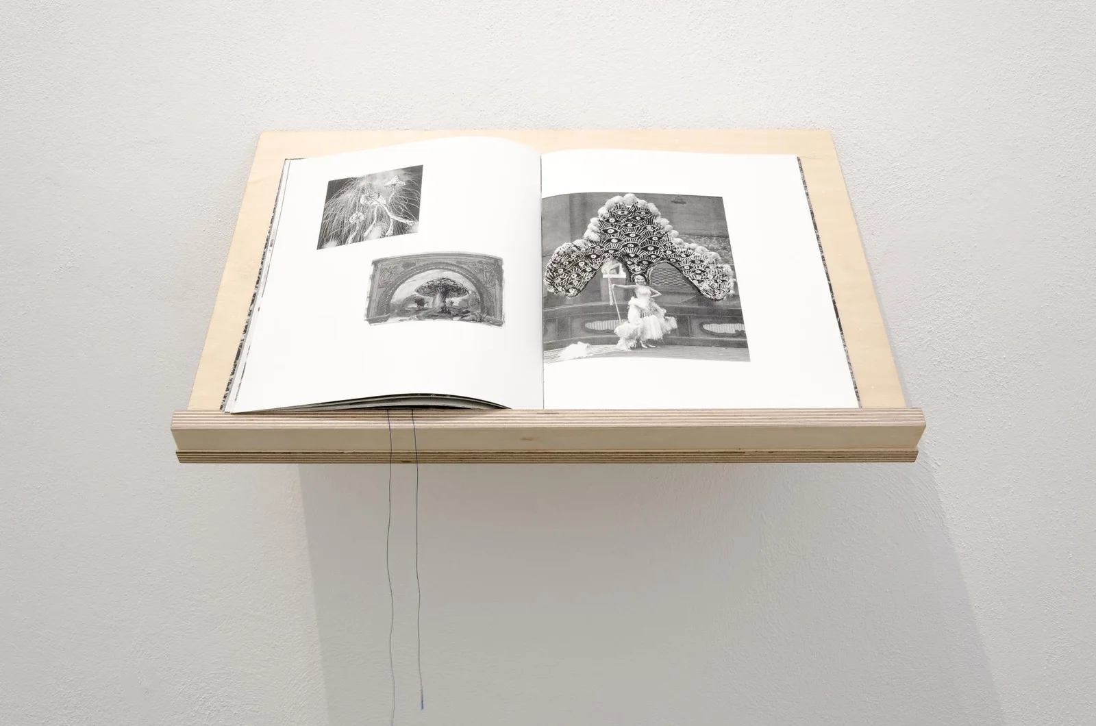 Come Creatura. installation view 3 of 11