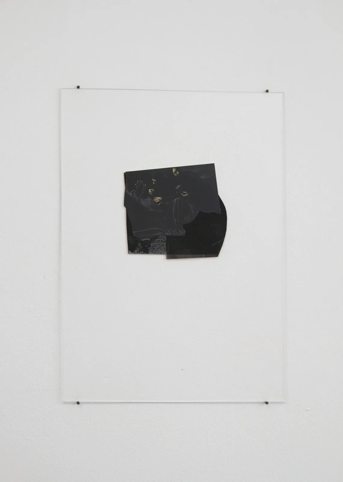 FIESTA. installation view 19 of 21