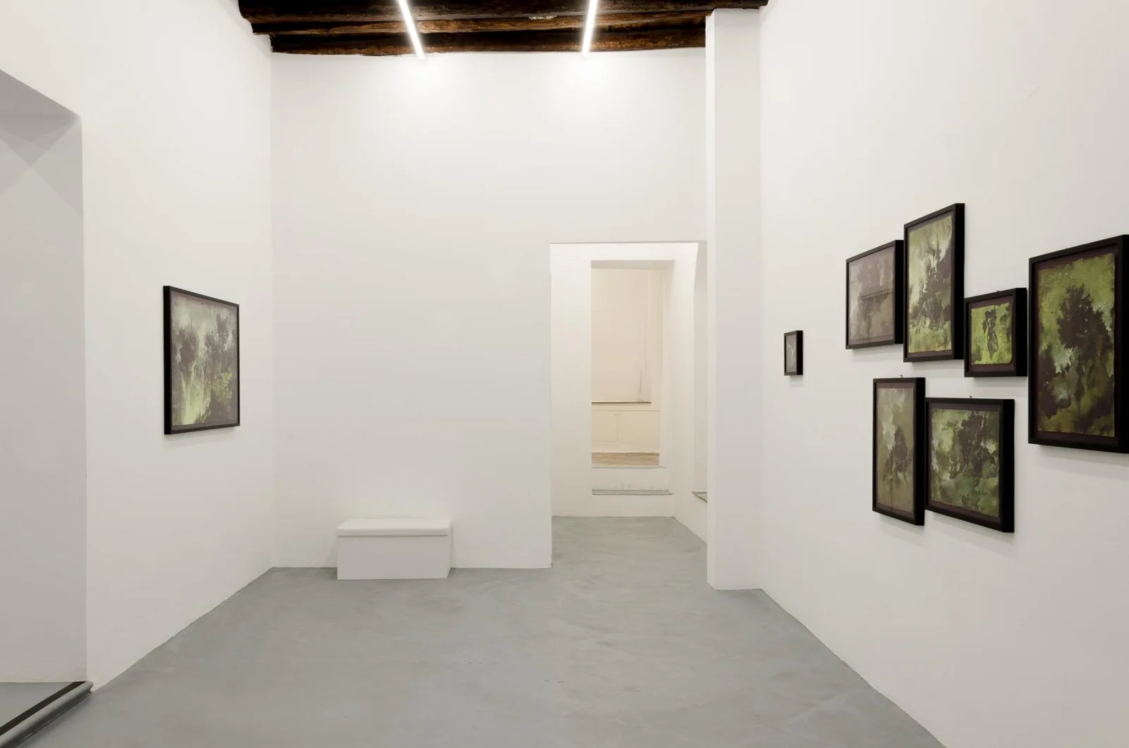 Come Creatura. installation view 7 of 11